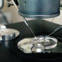 Scientists Develop Surrogate Hen to Protect Rare Breeds