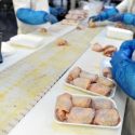 Another Poultry Industry Giant Will Stop Using Antibiotics