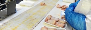 Another Poultry Industry Giant Will Stop Using Antibiotics