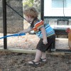 Boy Playing with Buff Orpington Chickens