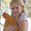 Girl Holding Buff Orpington Chicken