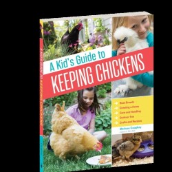 A Kid's Guide to Keeping Chickens by Melissa Caughey