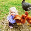 Little girl holding a bronze broad breasted turkey
