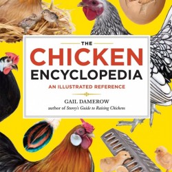 The Chicken Encyclopedia: An Illustrated Reference by Gail Damerow