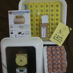 Classroom Incubation Kit