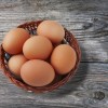 Dominique Chicken Eggs
