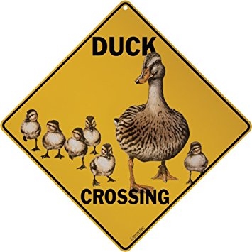 Duck Crossing sign