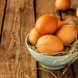 Fertile Hatching Eggs – Bantam & Standard Size