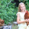 Girl Holding a New Hampshire Red Chicken