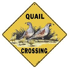 Quail Crossing sign