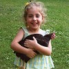 Girl Holding Rhode Island Red Bantam Chicken