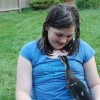 Rouen Duck
