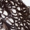 Silver Laced Cochin Chicken Feathers