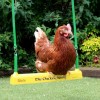 The Chicken Swing