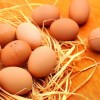 Turken (Naked Neck) Chicken Eggs