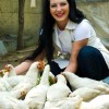 Woman With White Plymouth Rock Chickens