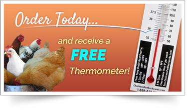 Order Today receive a free thermometer