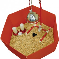 Premium Brooder Starter Package