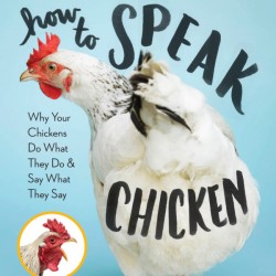 How to Speak Chicken: Why Your Chickens Do What They Do & Say What They Say by Melissa Caughey