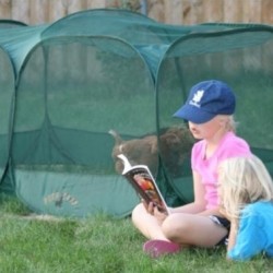 Children reading outside next to a Peck and Play portable chicken enclosure