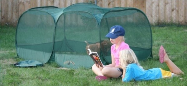 Children reading outside next to a Peck and Play portable chicken enclosure
