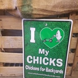 I Love My Chicks sign