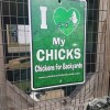 I Love My Chickens Sign