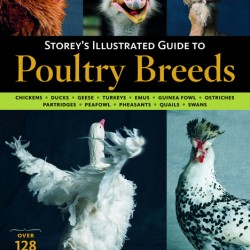 Storey's Illustrated Guide To Poultry Breeds by Carol Ekarius
