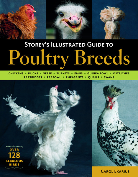 Storey's Illustrated Guide To Poultry Breeds by Carol Ekarius