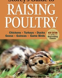 Storey's Guide to Raising Poultry by Glenn Drowns