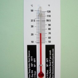Small Thermometer