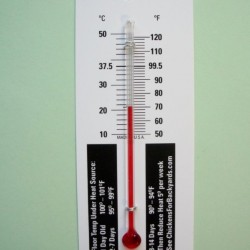 Small Thermometer