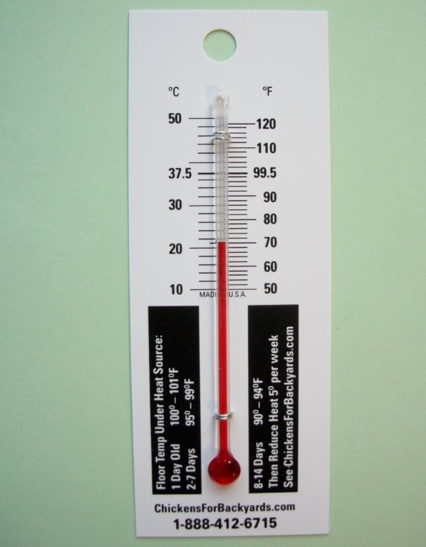 Baby Chickens Small Thermometer, Brooder Equipment