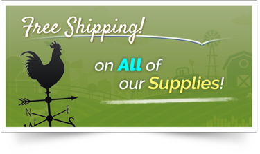 Free Shipping 