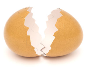 Broken Eggshell