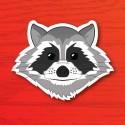 Raccoon face illustration