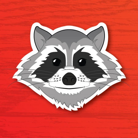 Raccoon face illustration