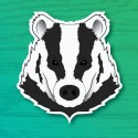 Badger face illustration