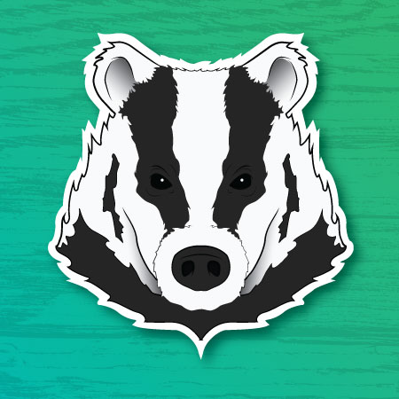 Badger face illustration