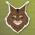 Face illustration of a Bobcat on a green background
