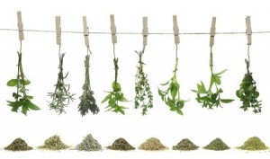 fresh herbs hanging on a rope