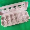 EGG CARTON