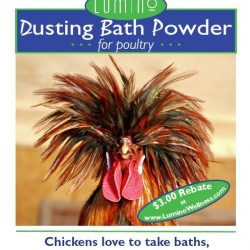 Dustin Bath Powder for Poultry