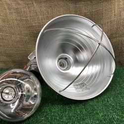 Lamp with clear bulb
