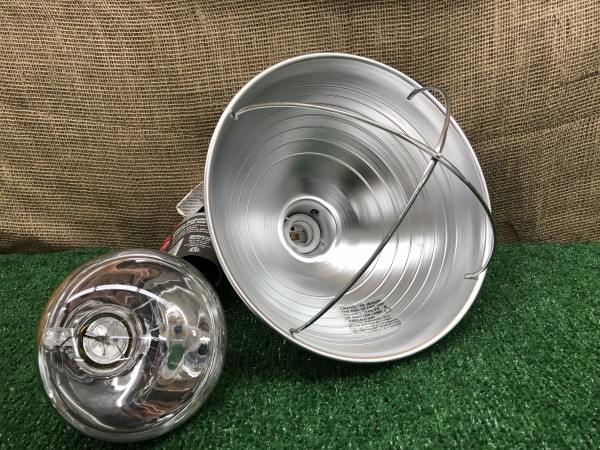 Lamp with clear bulb