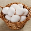 Silver Spitzhauben eggs