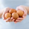 Cage-Free vs. Free-Range Eggs: What's the Difference?