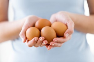 Cage-Free vs. Free-Range Eggs: What's the Difference?
