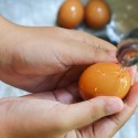How to Wash Freshly Laid Eggs