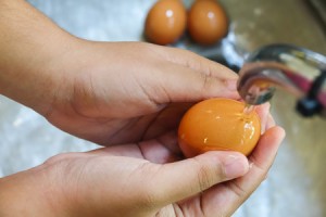 How to Wash Freshly Laid Eggs